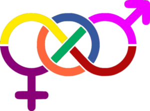 Gender-and-Sexual-Orientation-300x221