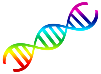 DNA