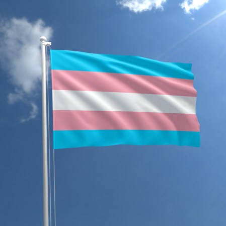 trans-flag_flying_800